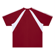 Stellar Raglan