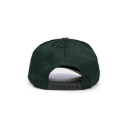 HEALING SNAPBACK